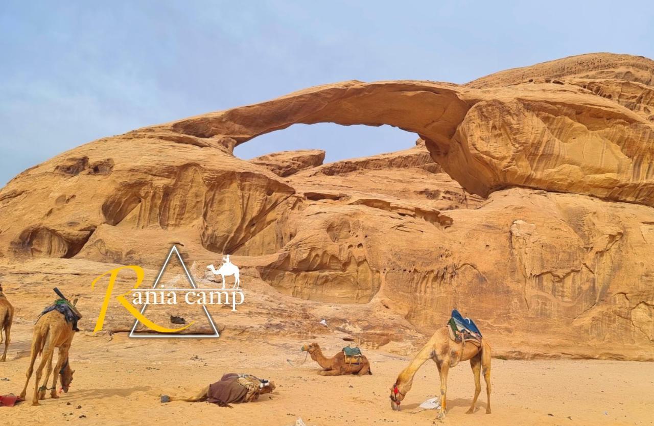 Wadi Rum,Rania Camp 外观 照片