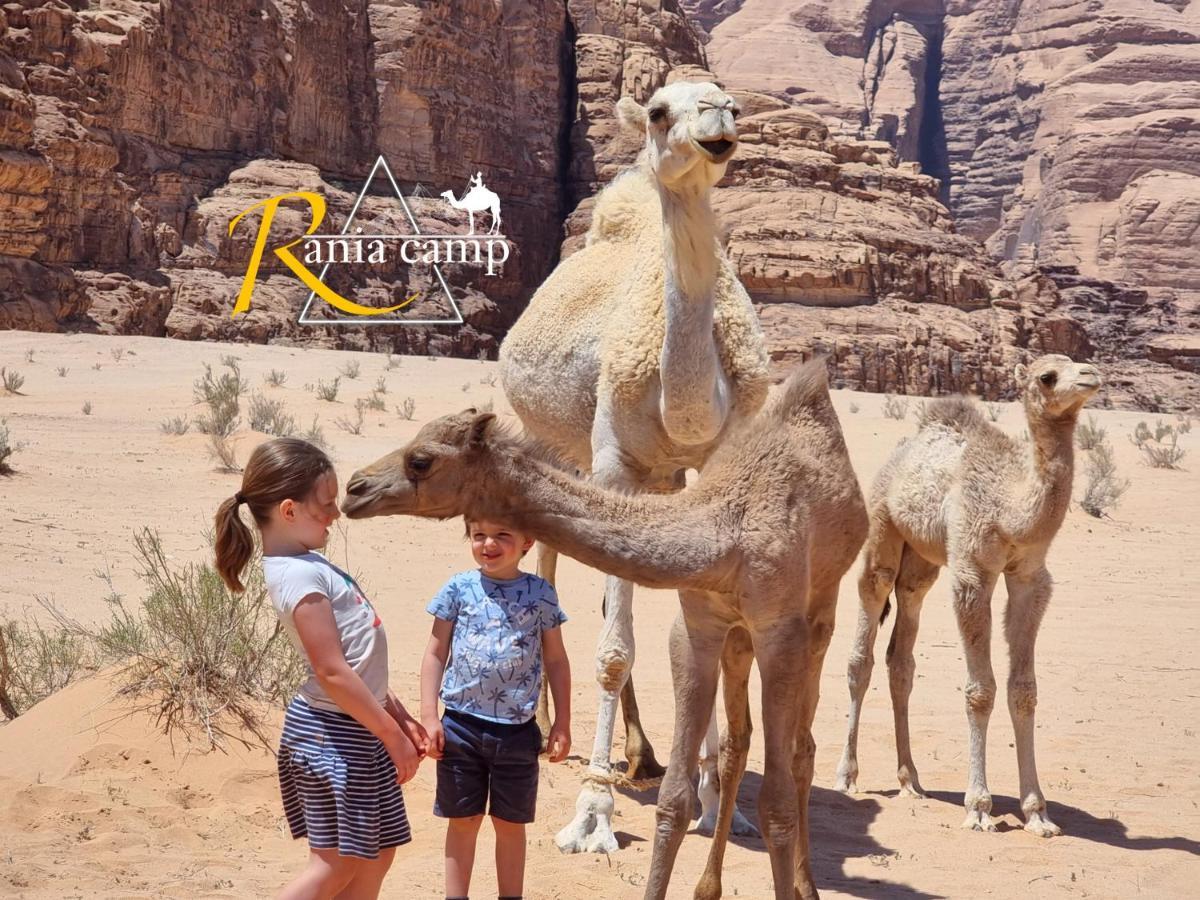 Wadi Rum,Rania Camp 外观 照片